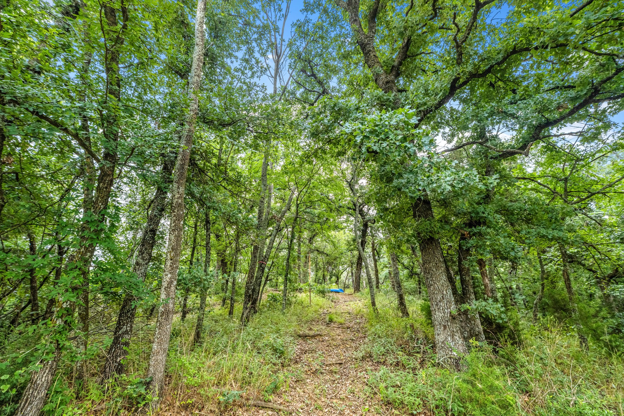1020 Oak View Drive Oak Point TX 75068