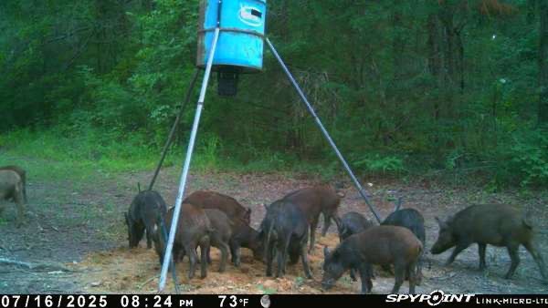 191 Pr 5701 Grand Saline TX 75140