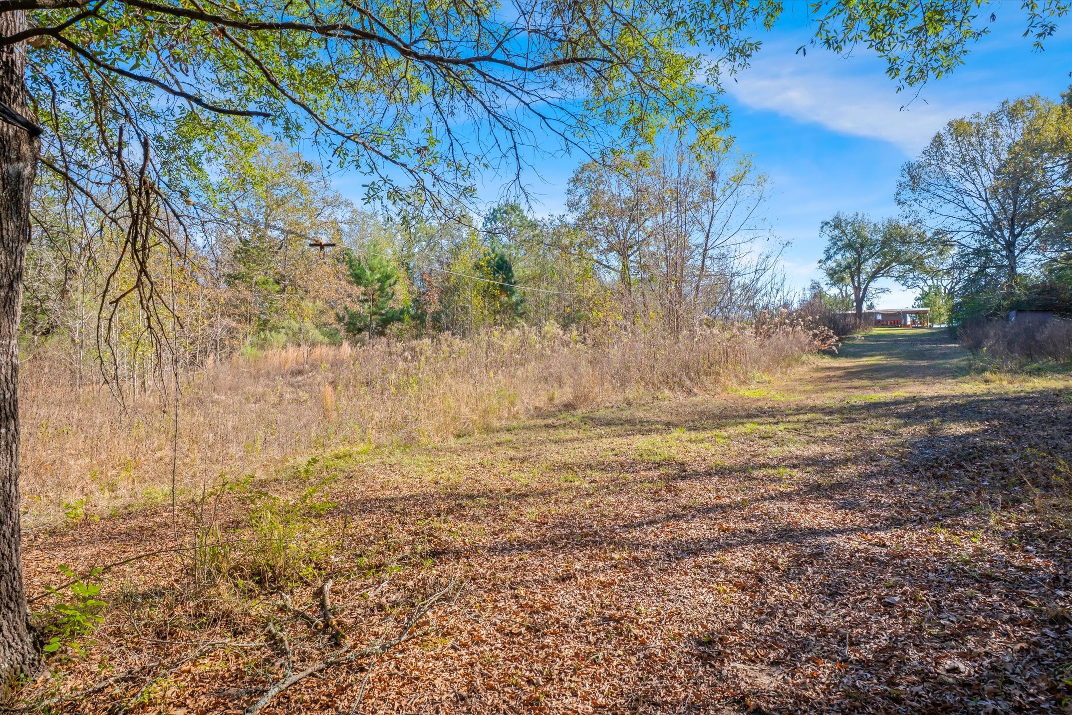 191 Pr 5701 Grand Saline TX 75140