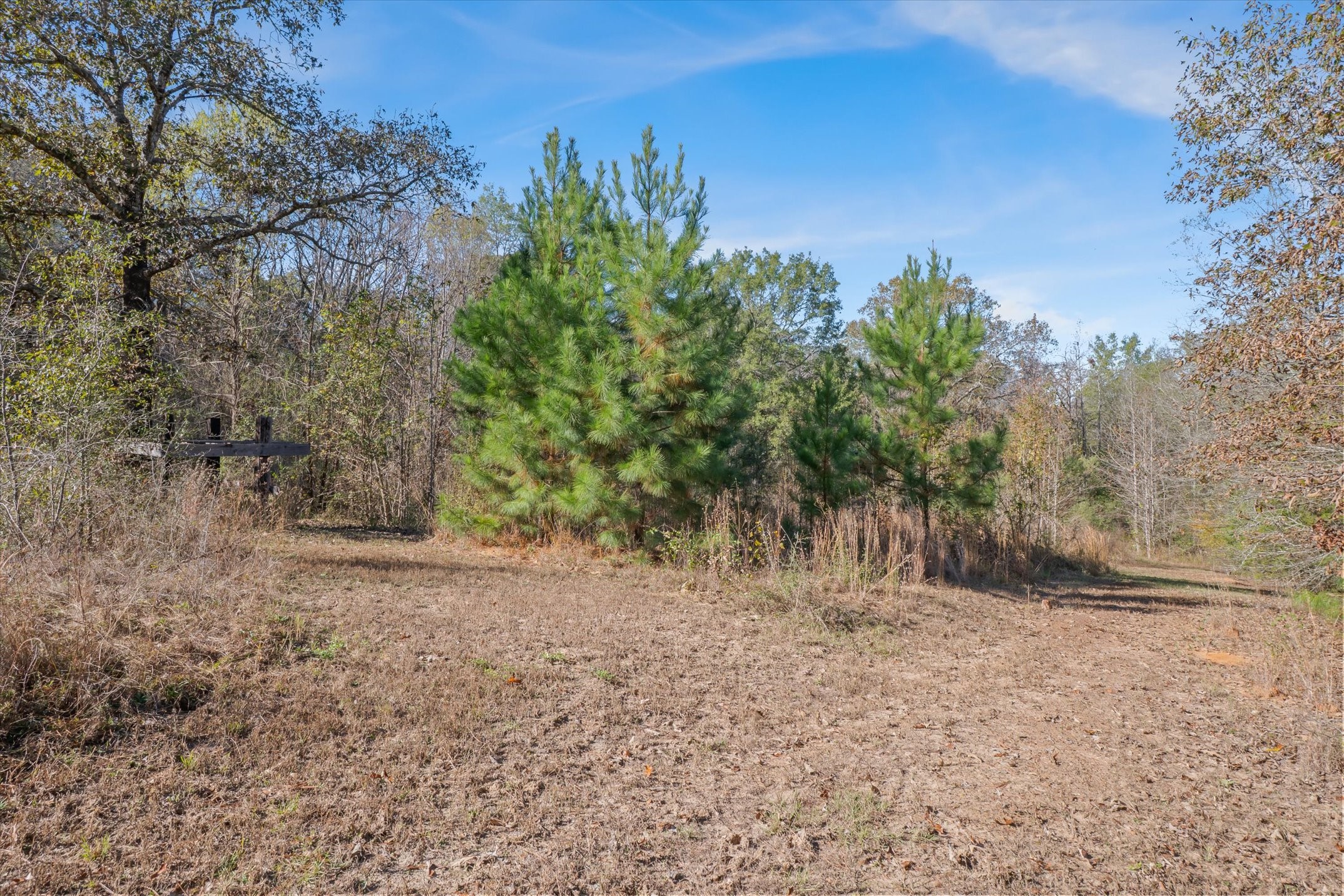 191 Pr 5701 Grand Saline TX 75140