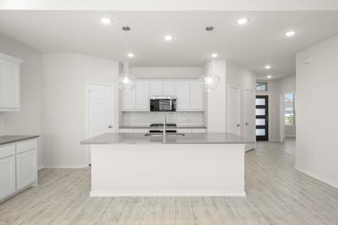 720 Scarlet Sage Drive Waxahachie TX 75165