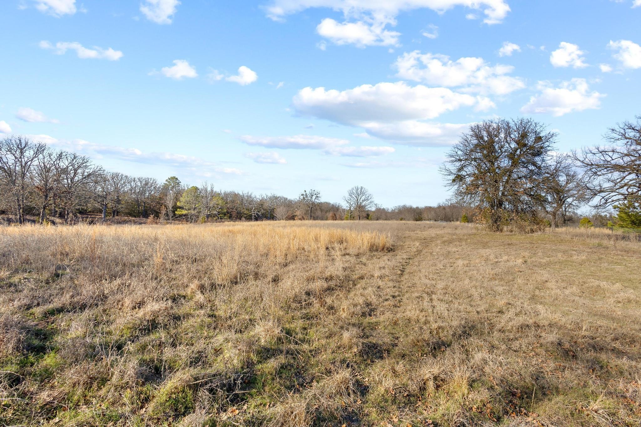 4572 County Road 2700 Telephone TX 75488