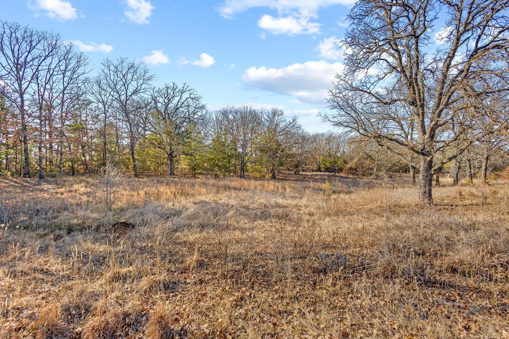 4572 County Road 2700 Telephone TX 75488