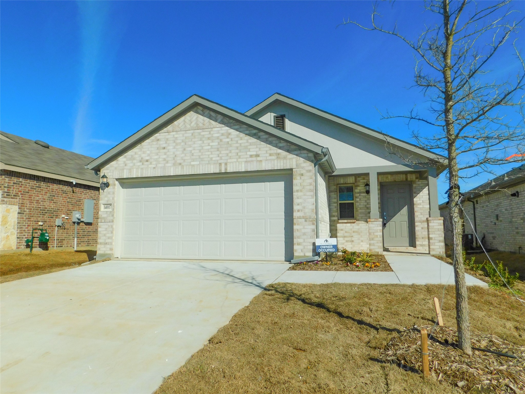 14017 Earlham Street Pilot Point TX 76258