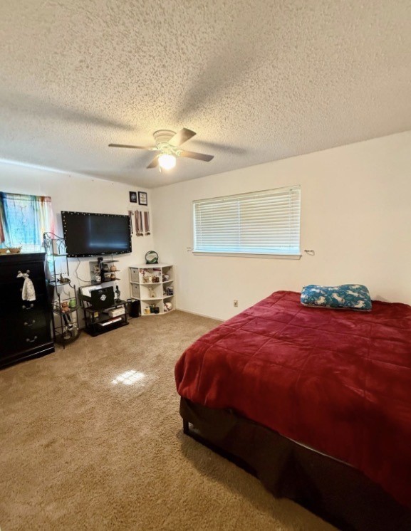 124 Juanita Avenue Wills Point TX 75169