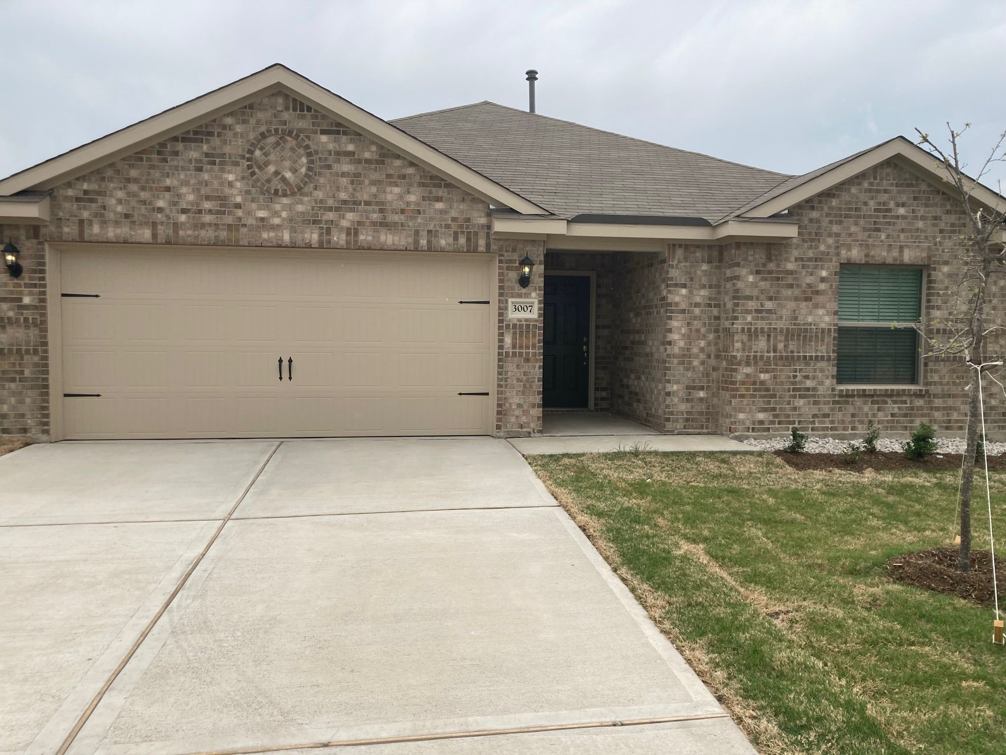 3007 Boran Drive Forney TX 75126