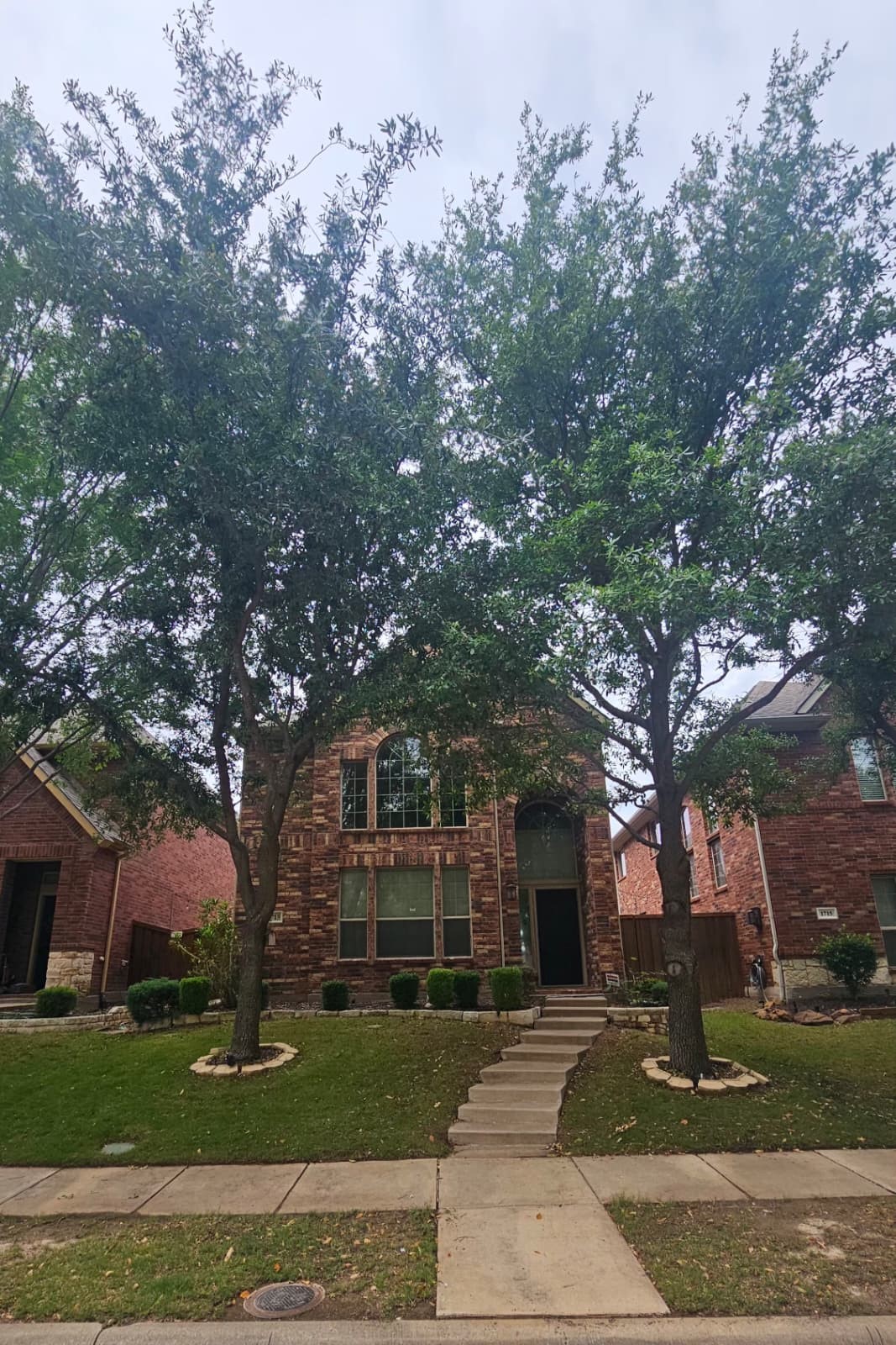 1713 Estacado Drive Allen TX 75013