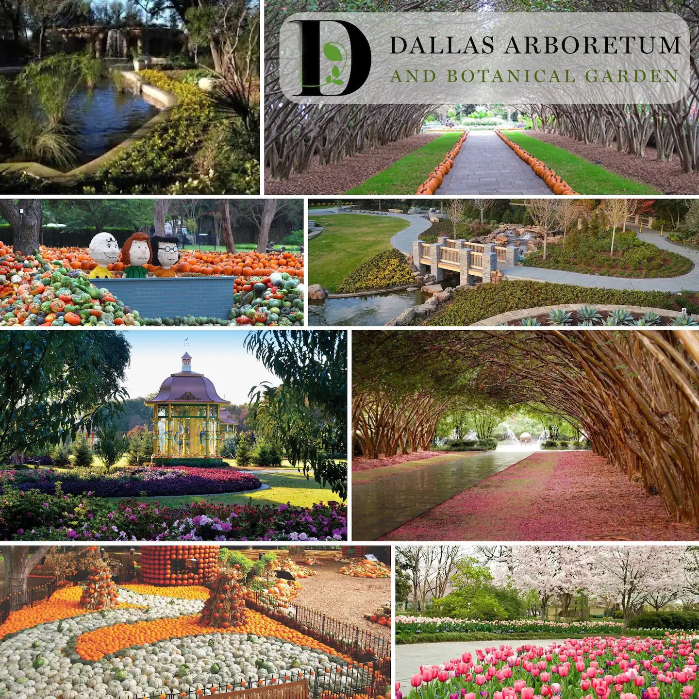 5110 Lindsley Avenue Dallas TX 75223