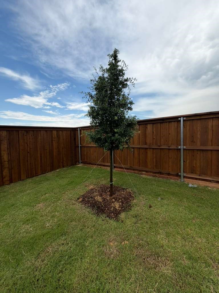 956 Lost Mine Trail Little Elm TX 75068