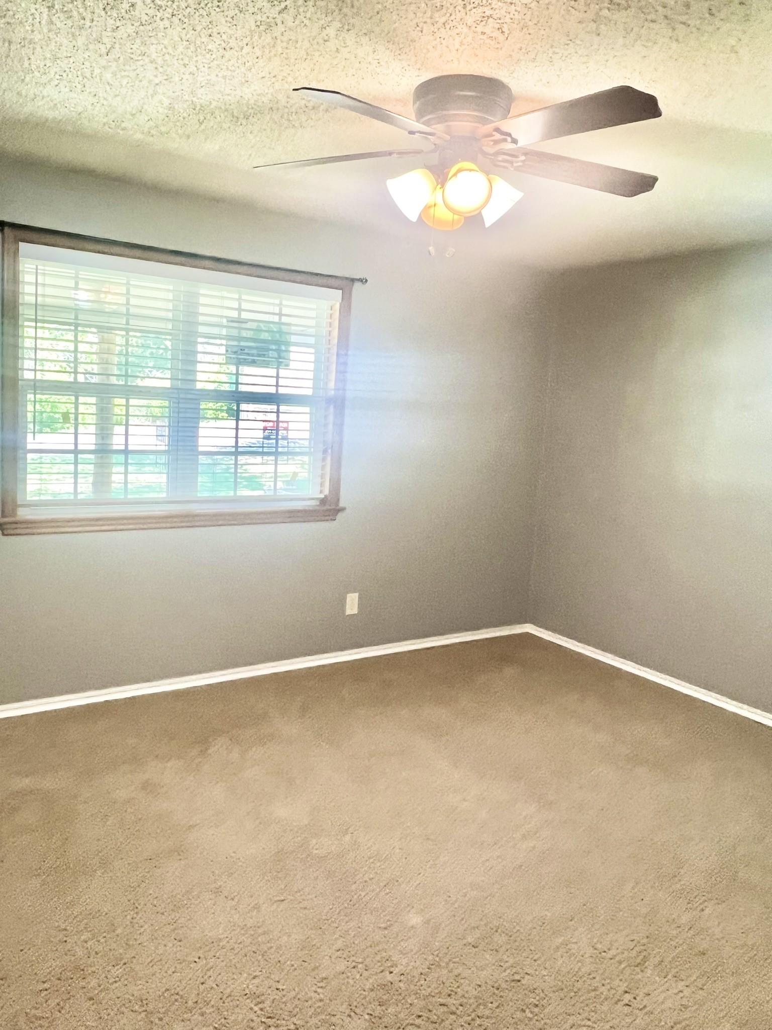 510 Murchison Street Farmersville TX 75442