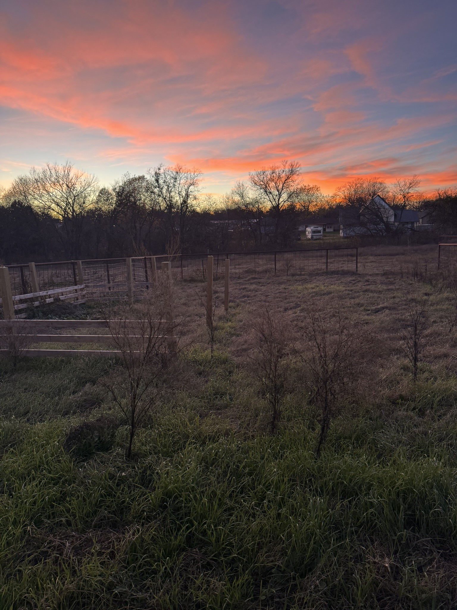 510 Murchison Street Farmersville TX 75442