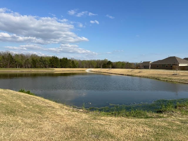 1117 Loblolly Lane Princeton TX 75407
