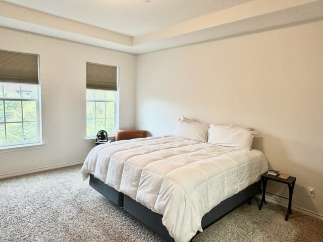 5029 Parkview Place Addison TX 75001