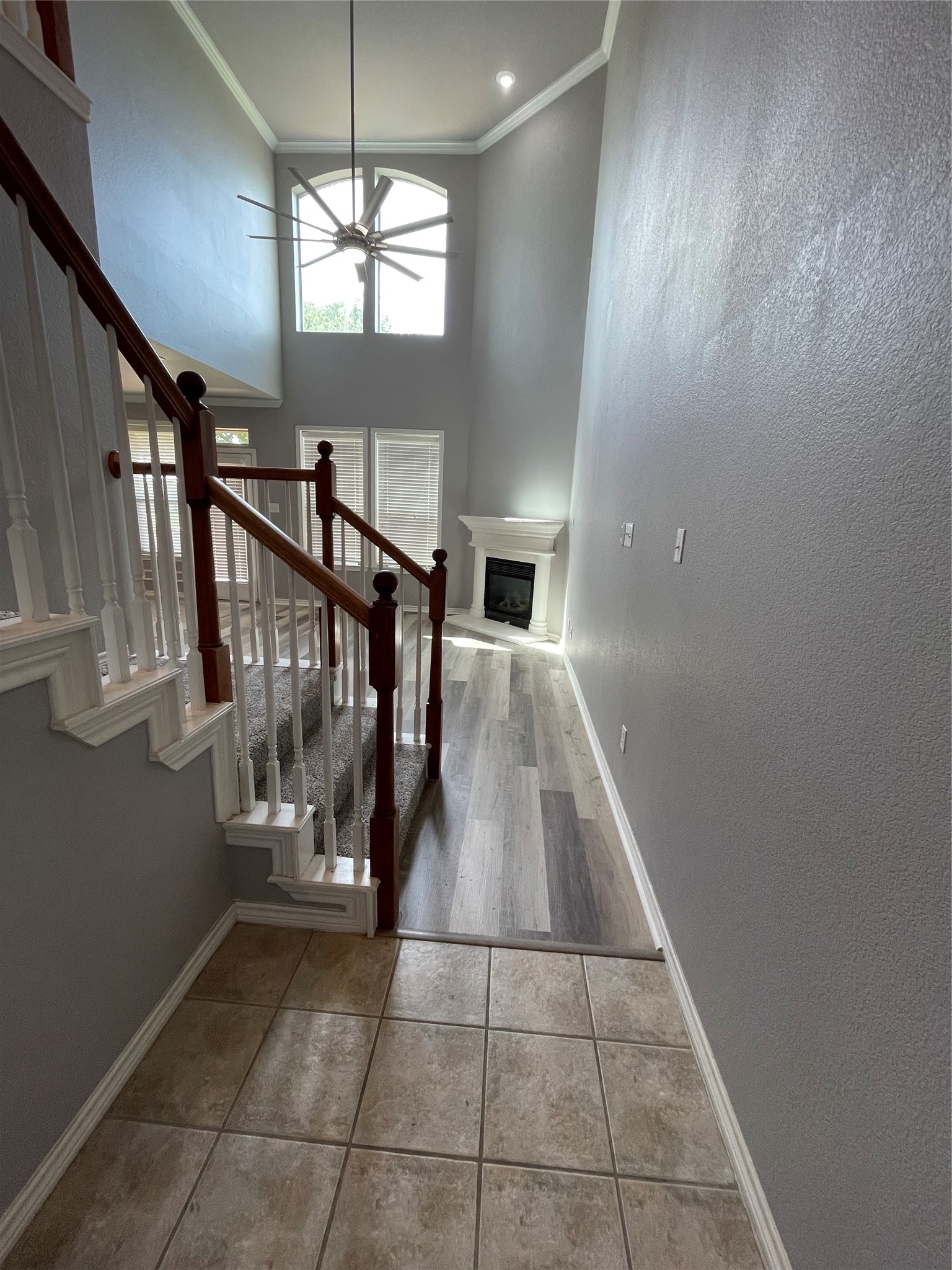 208 Mozart Way Mckinney TX 75072