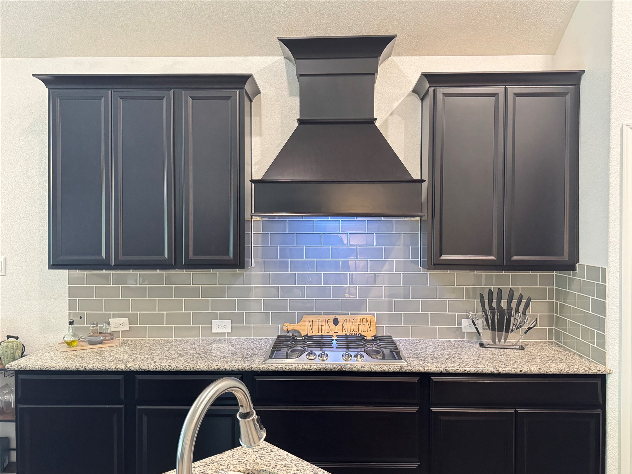 1020 Lake Sierra Way Little Elm TX 75068