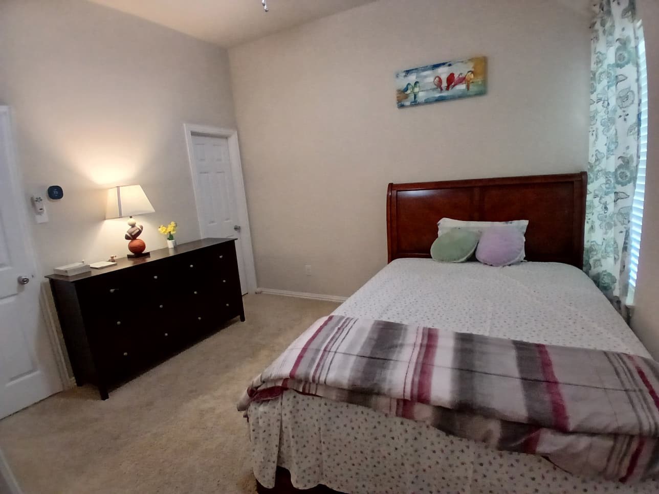 2642 Calmwood Drive Little Elm TX 75068