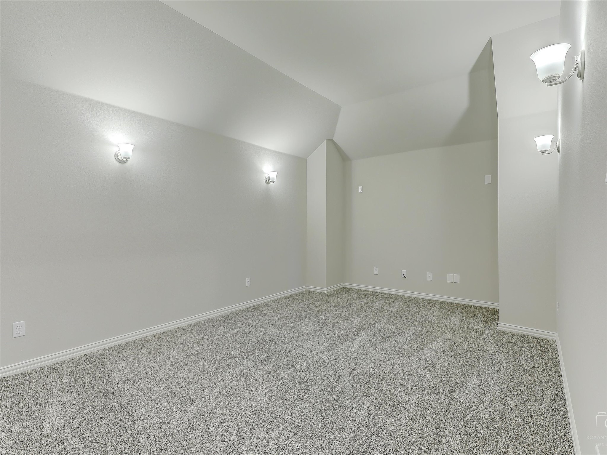 1228 Horsetail Drive Little Elm TX 75068