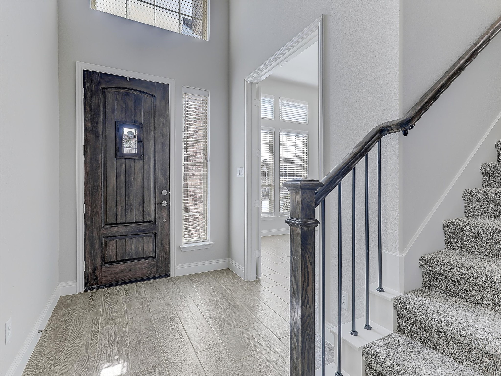 1228 Horsetail Drive Little Elm TX 75068