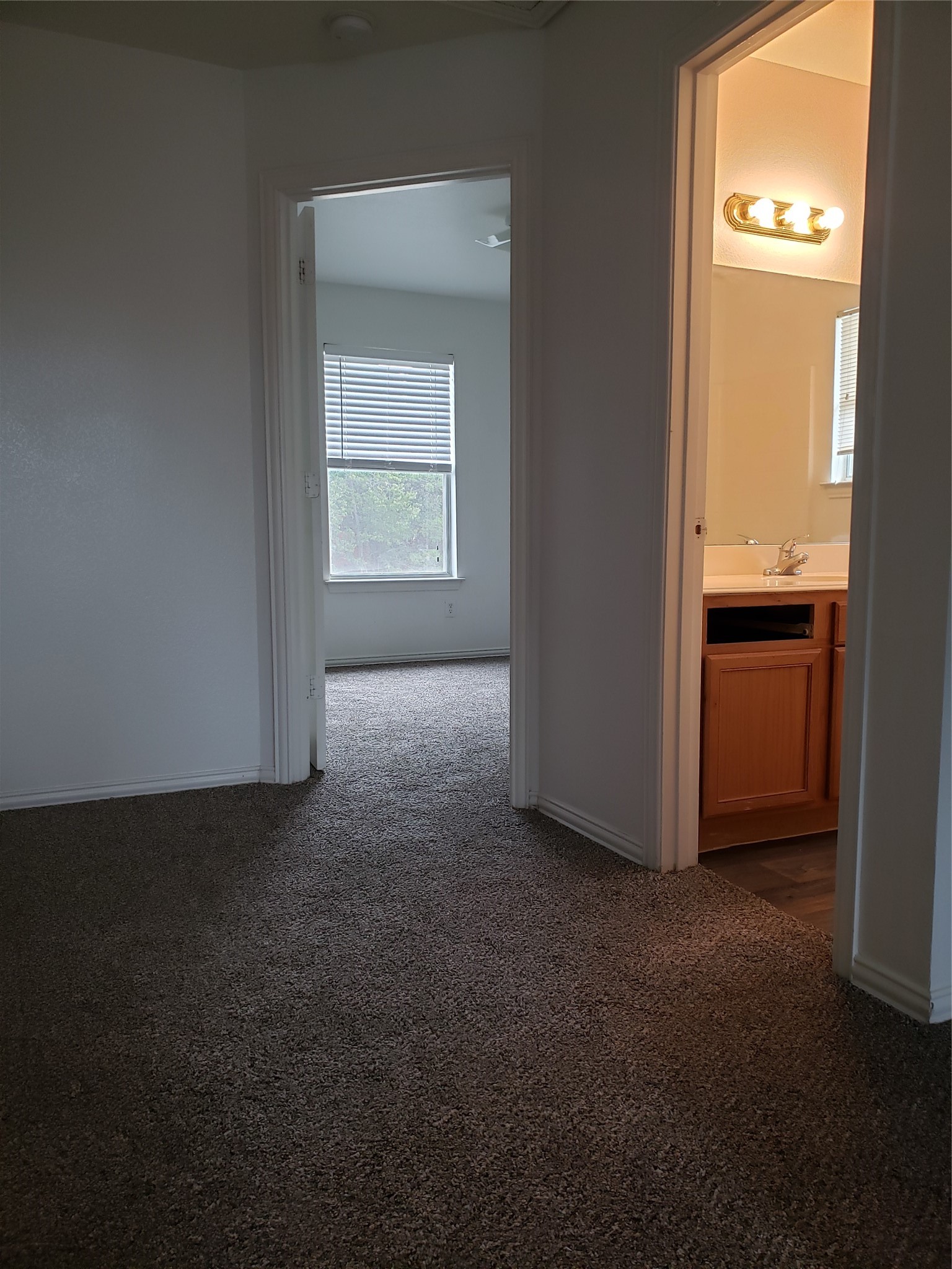 13631 Biggs Street Dallas TX 75253