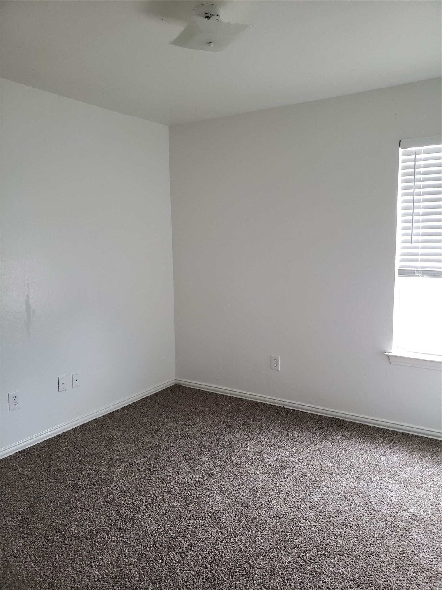 13631 Biggs Street Dallas TX 75253