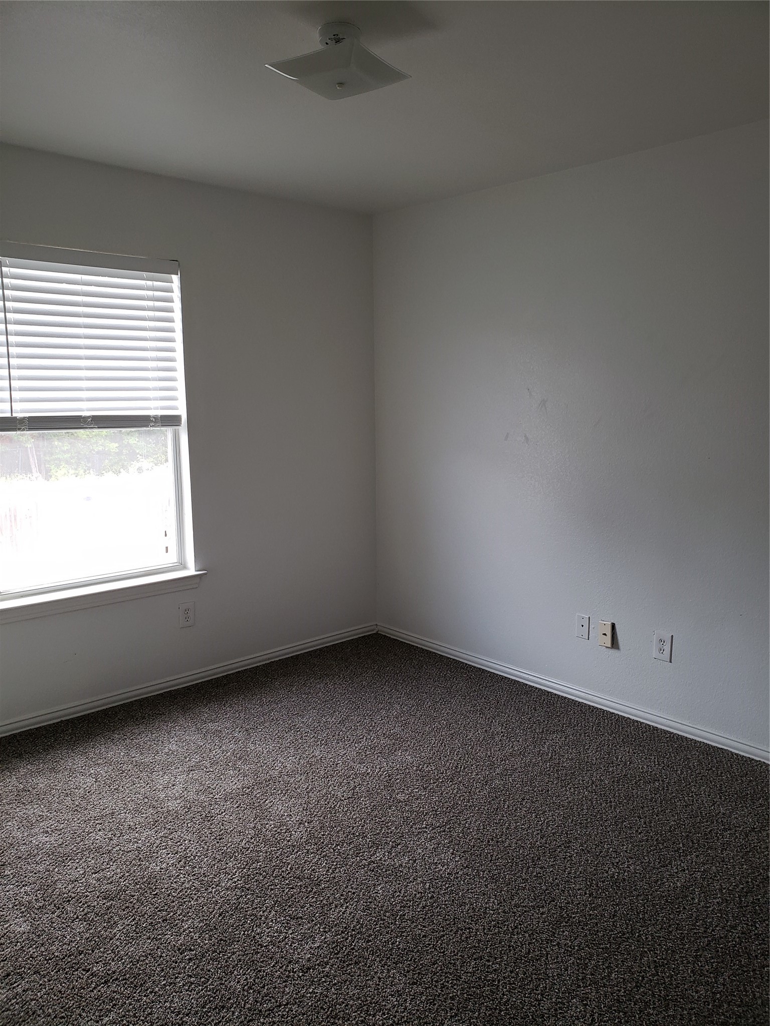 13631 Biggs Street Dallas TX 75253
