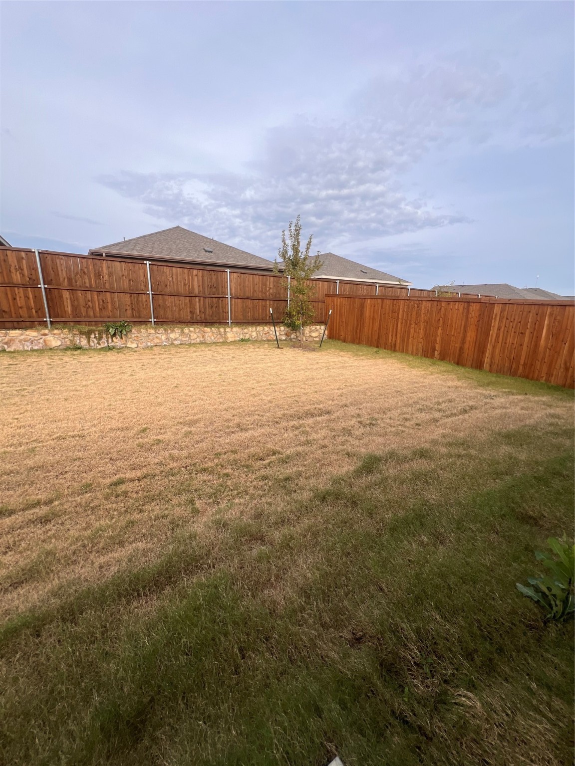 14143 Hammersmith Street Pilot Point TX 76258