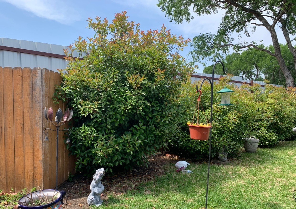 15721 Wheelhorse Trail Fort Worth TX 76262