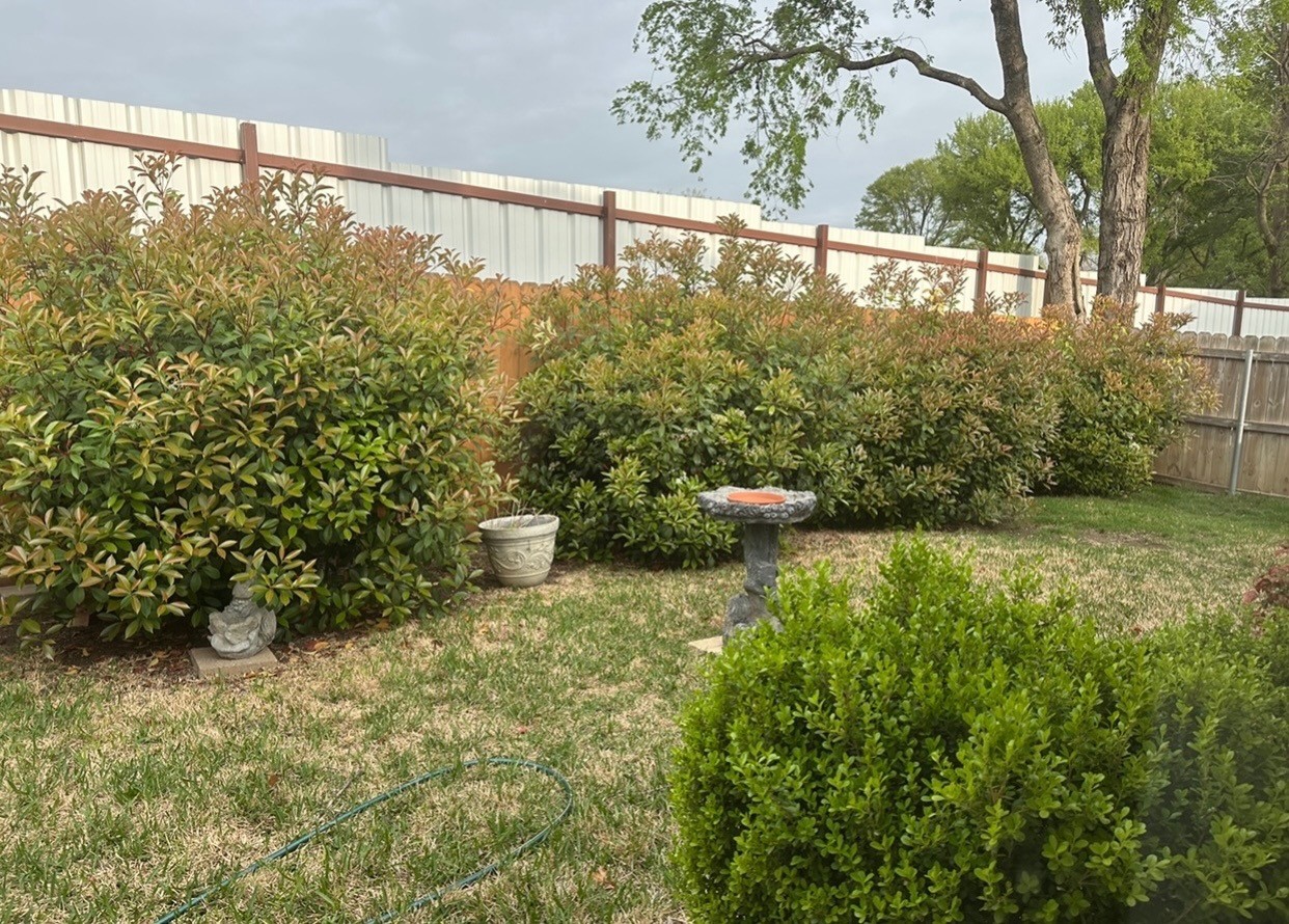 15721 Wheelhorse Trail Fort Worth TX 76262