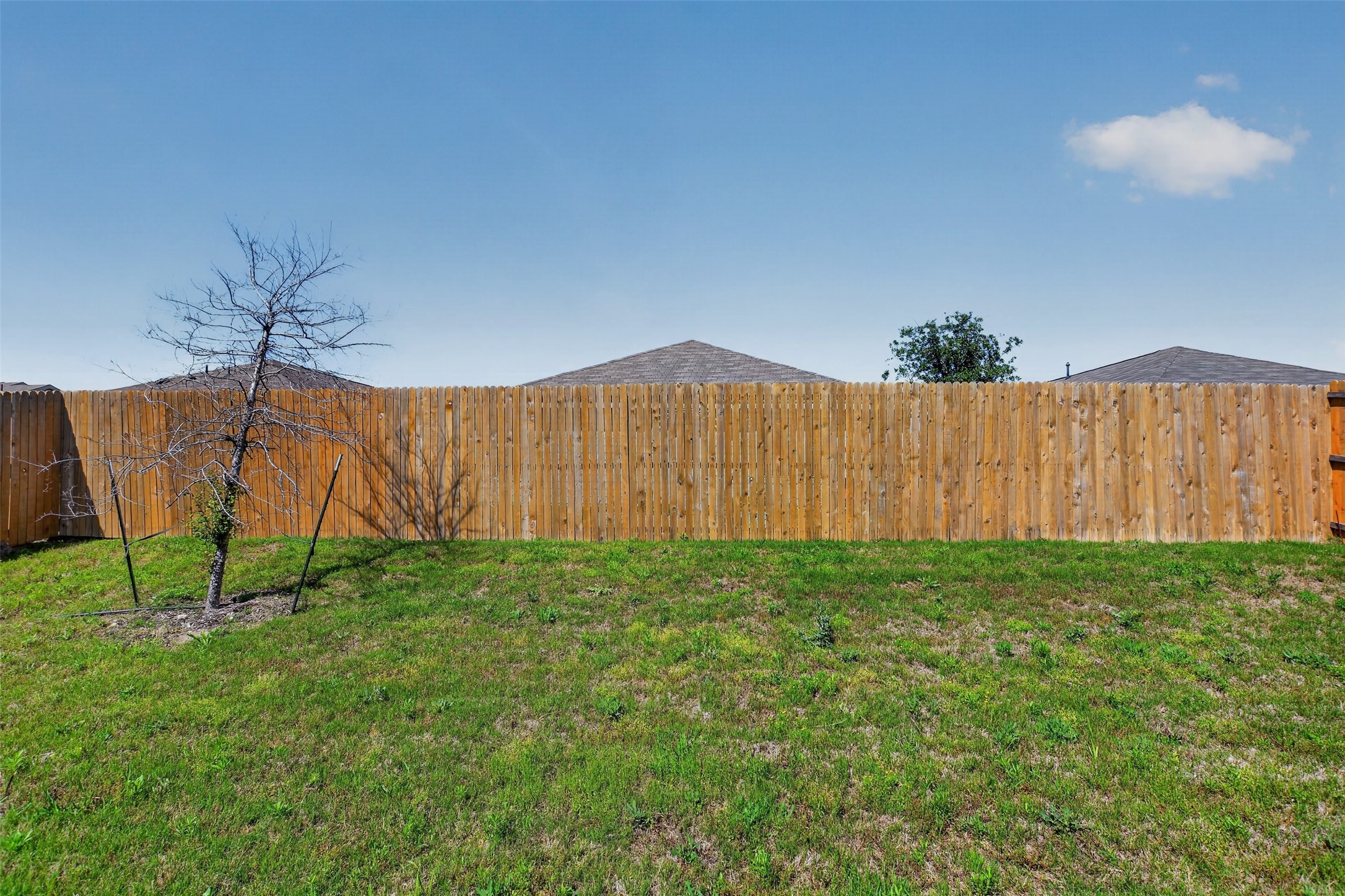 14933 Tejano Street Fort Worth TX 76052