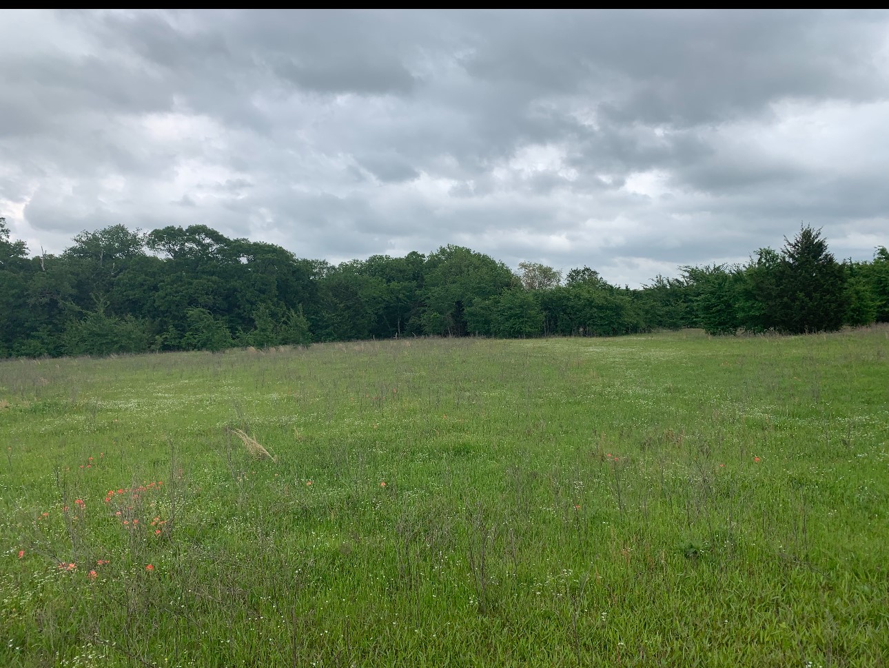 1449 County Road 4131 Cumby TX 75433