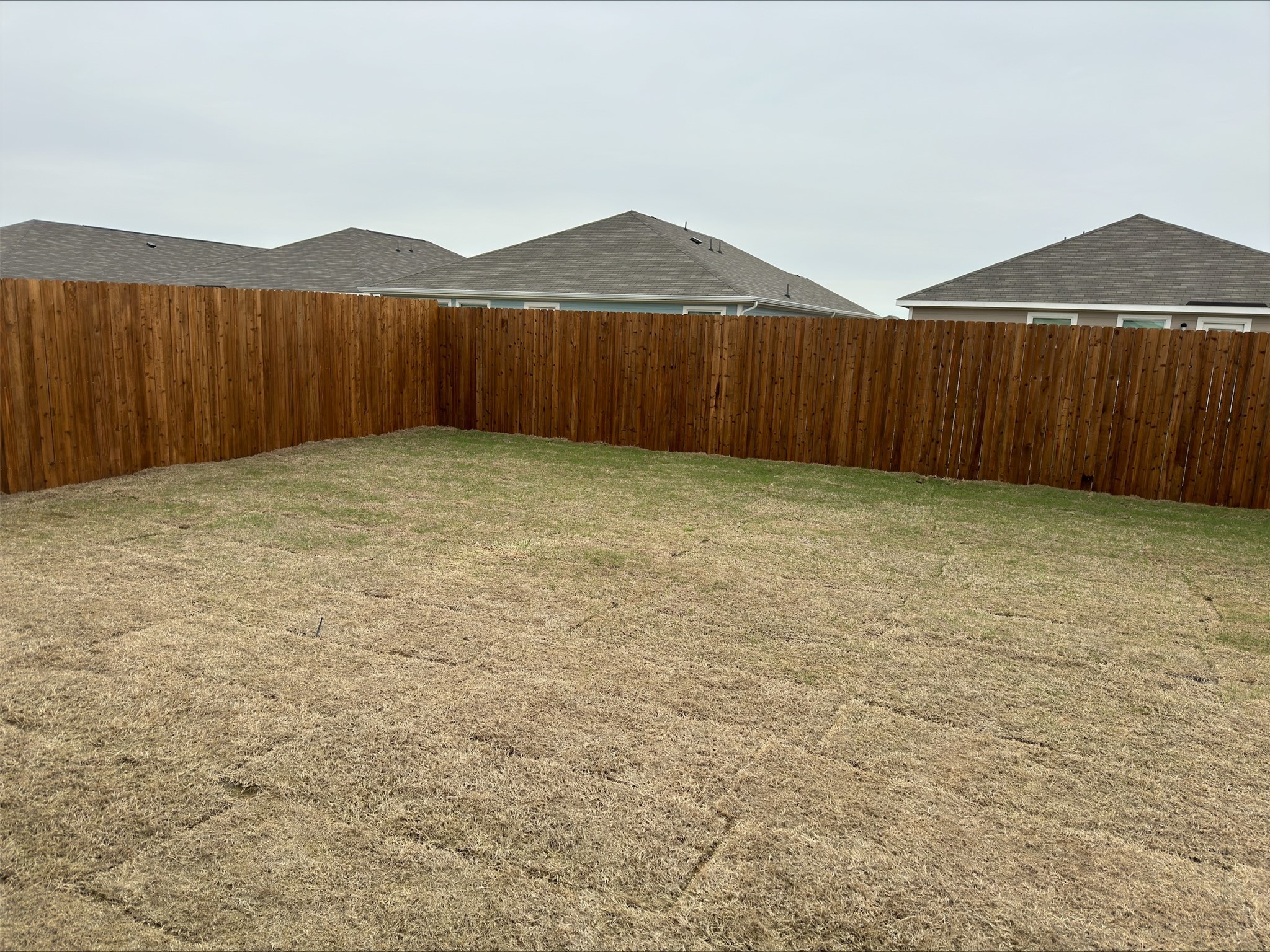 320 Dewberry Princeton TX 75407