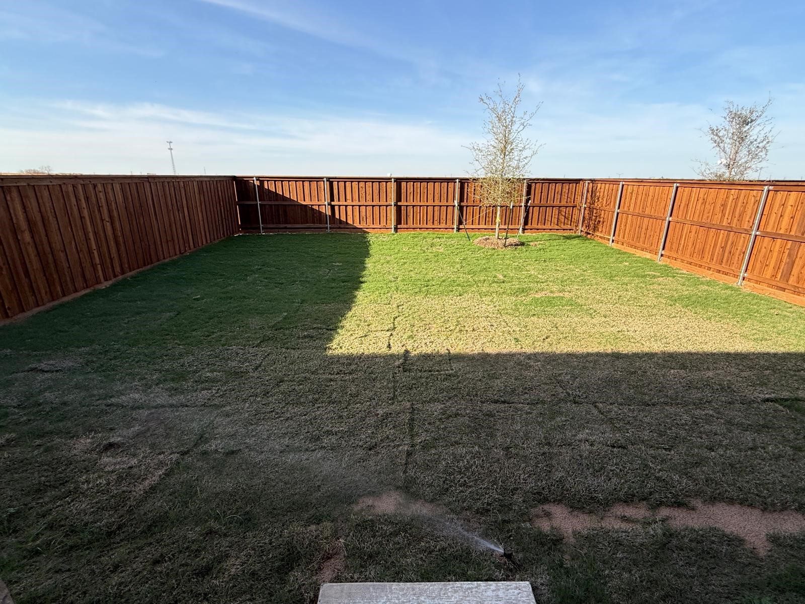 440 Backcountry Drive Little Elm TX 75068