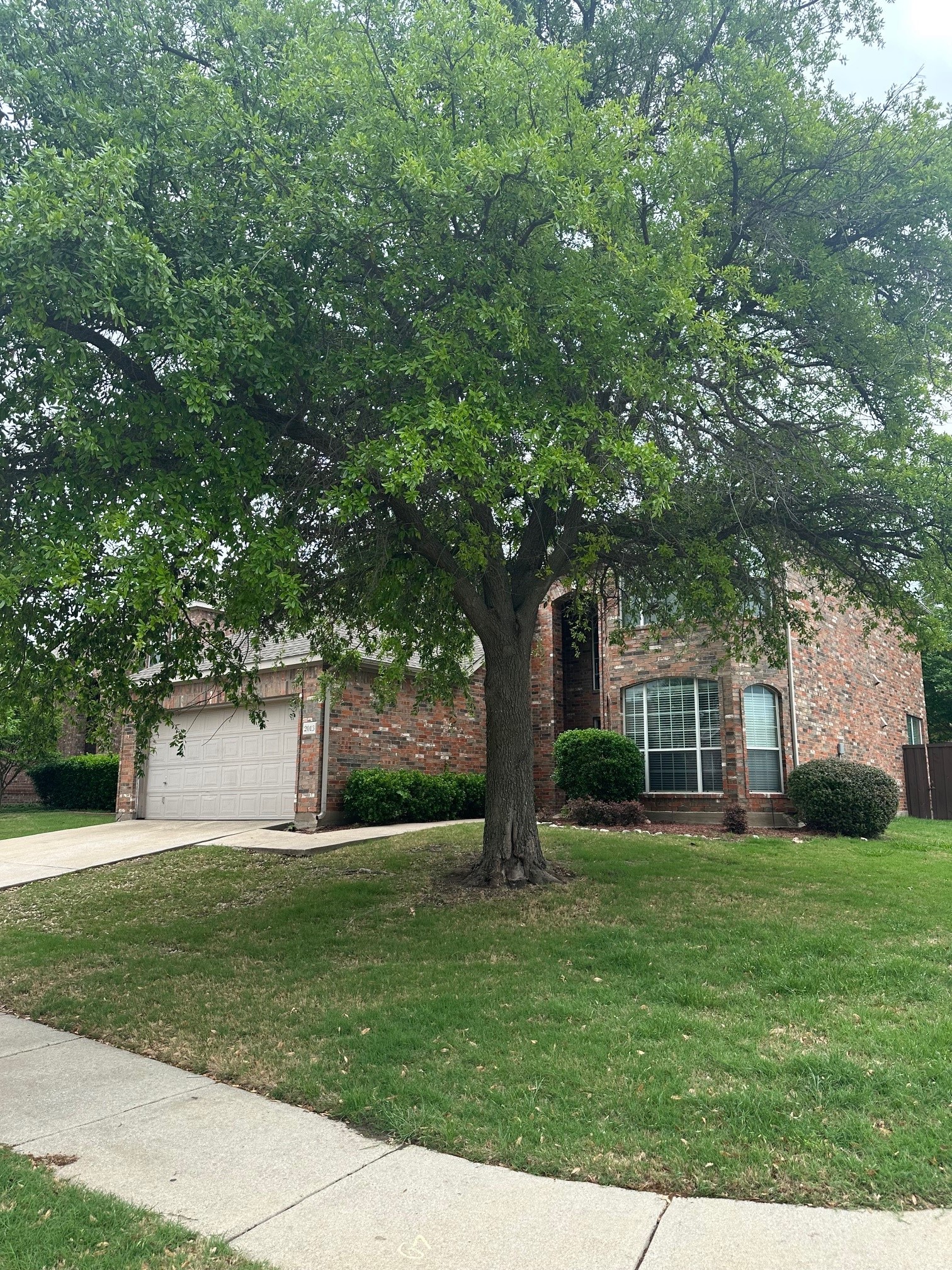 2013 Trinity Lane Mckinney TX 75072