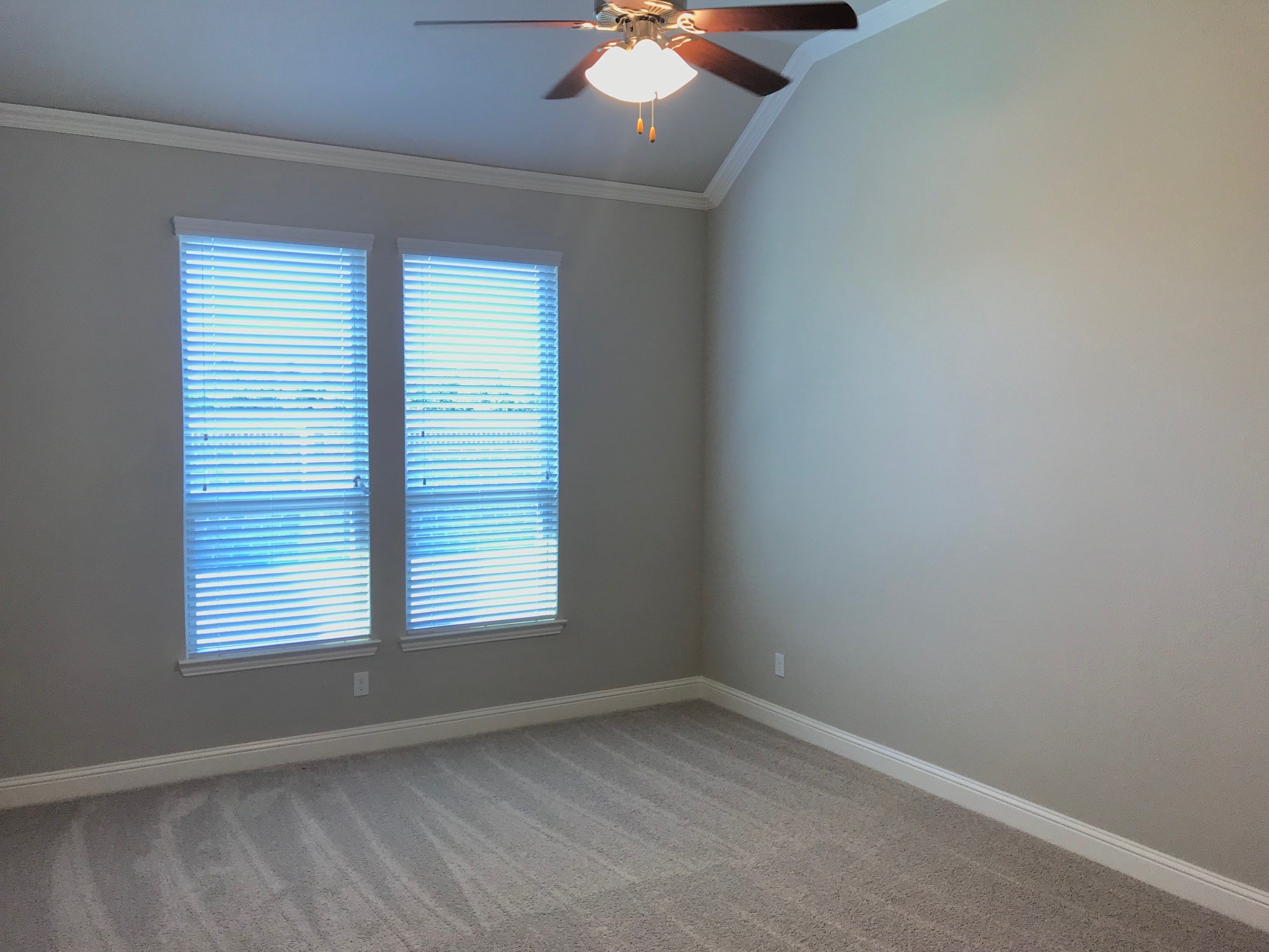 1324 Torrent Drive Little Elm TX 75068