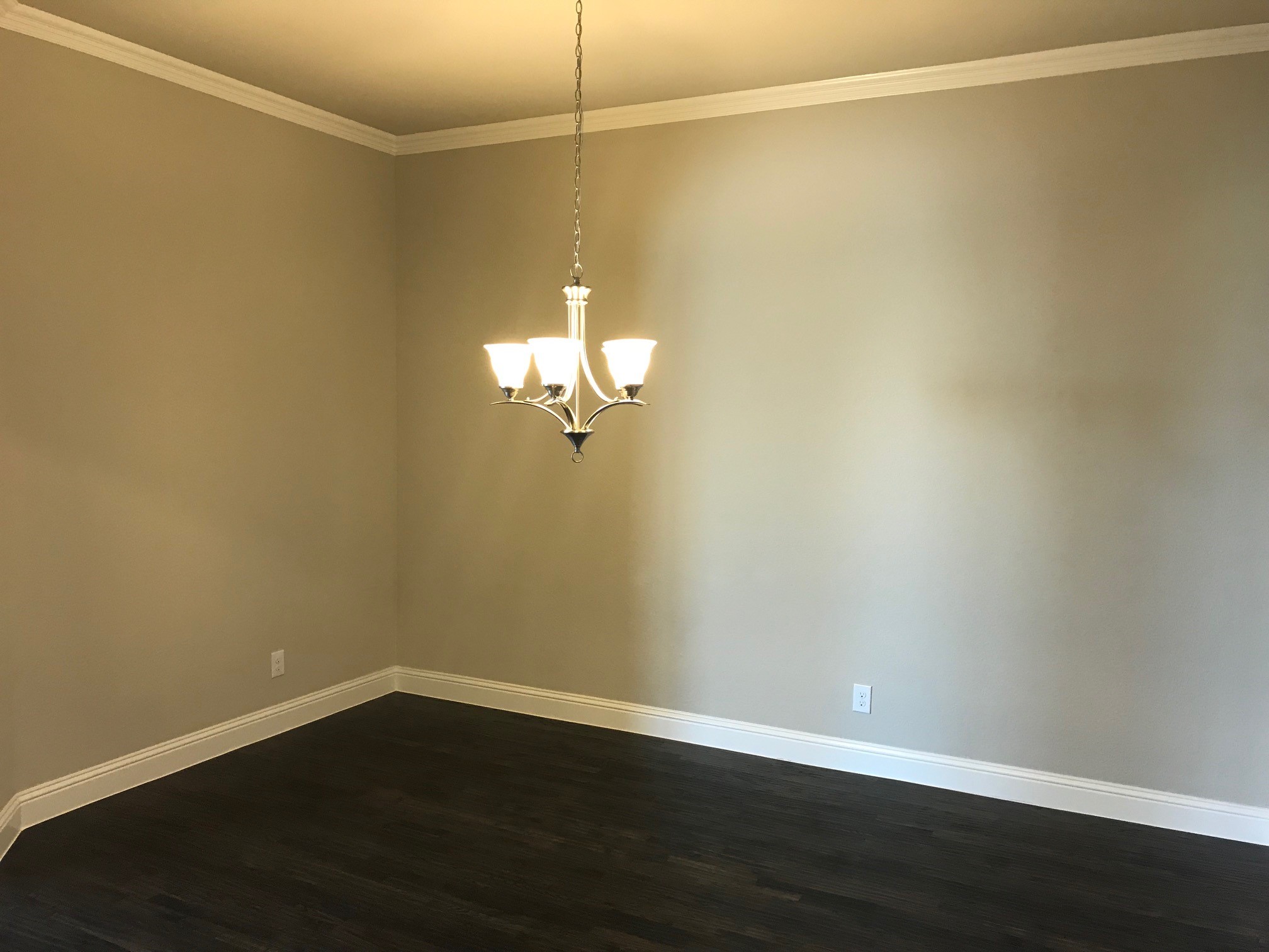 1324 Torrent Drive Little Elm TX 75068
