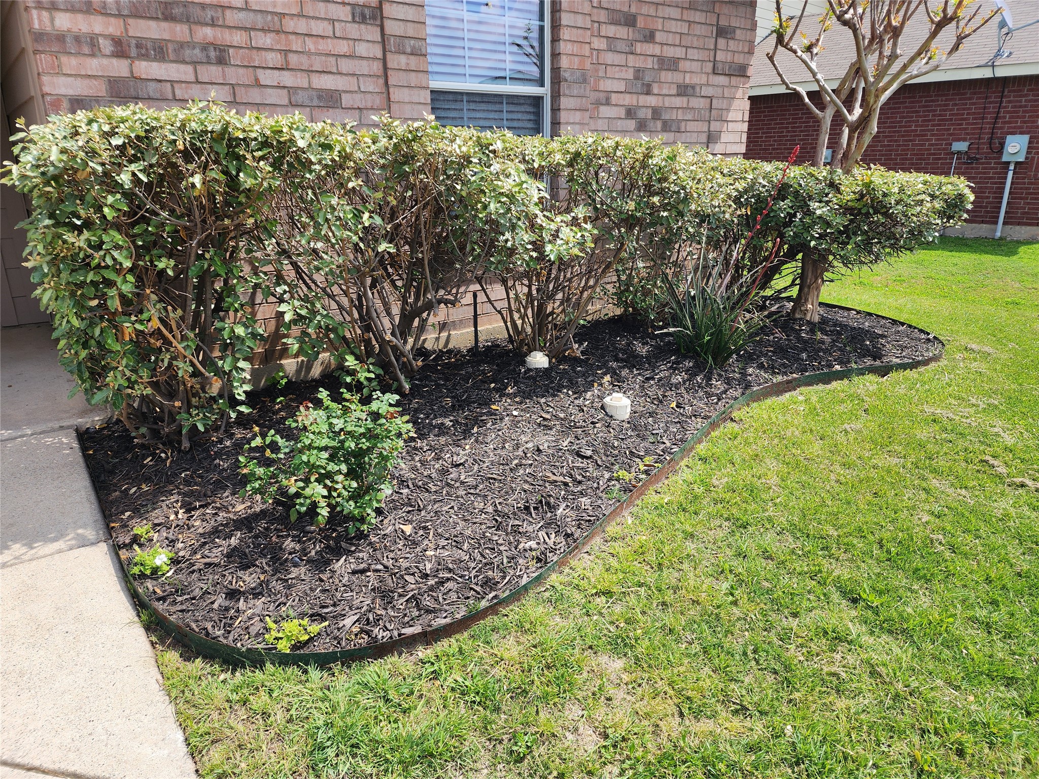 12808 Kingsgate Drive Rhome TX 76078
