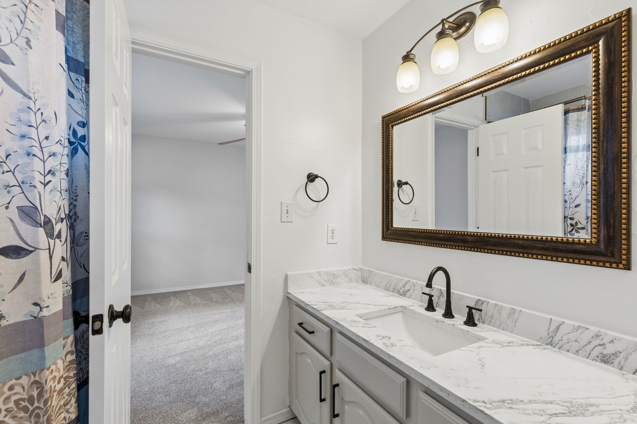3420 Druid Way Flower Mound TX 75028