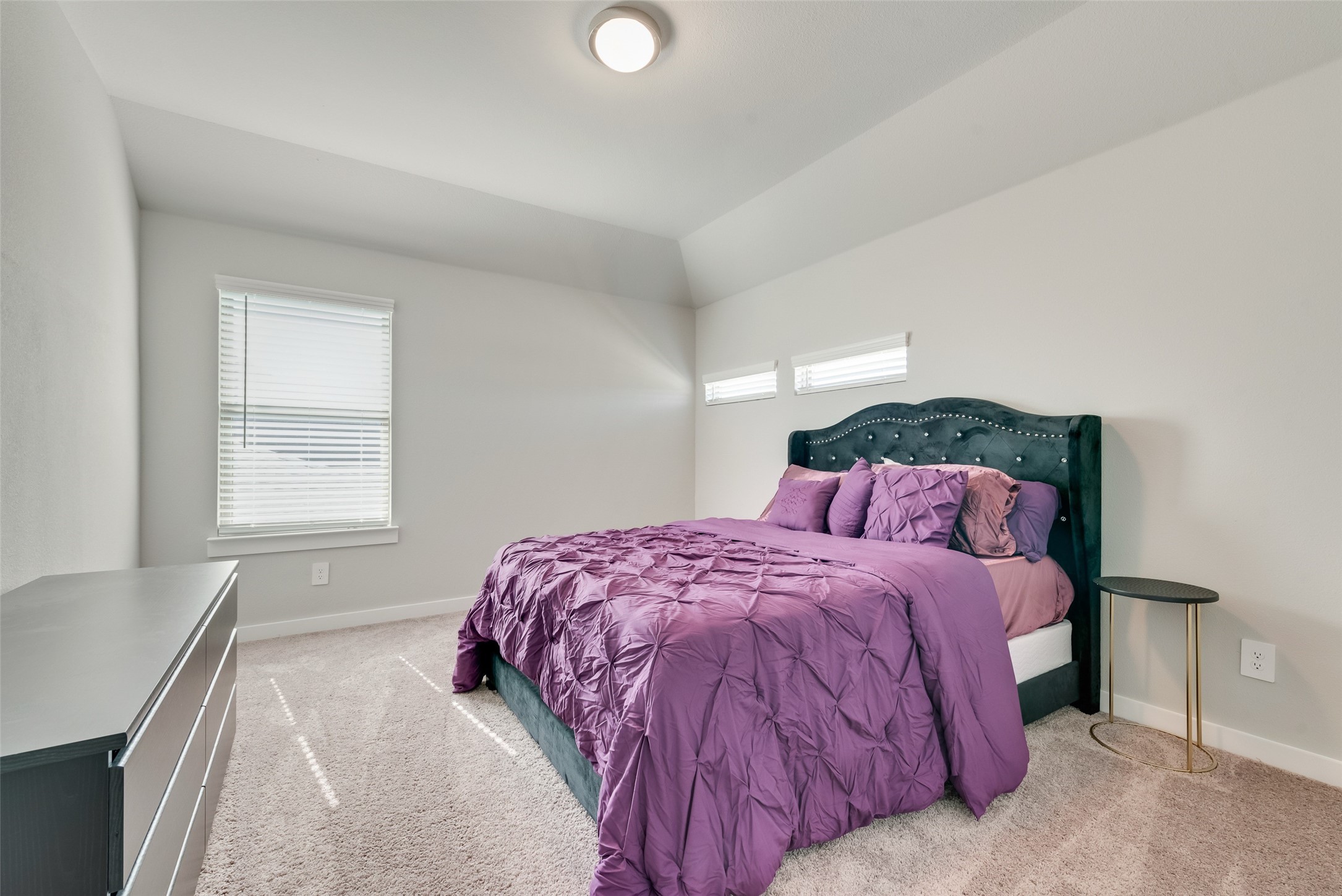 211 Coyote Creek Drive Lavon TX 75166