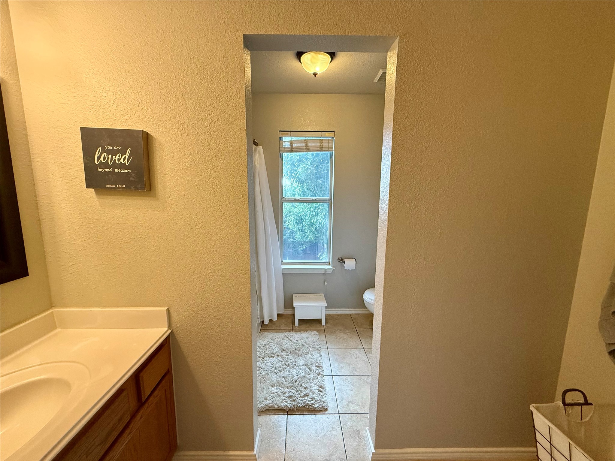 9324 Chesapeake Lane Mckinney TX 75071