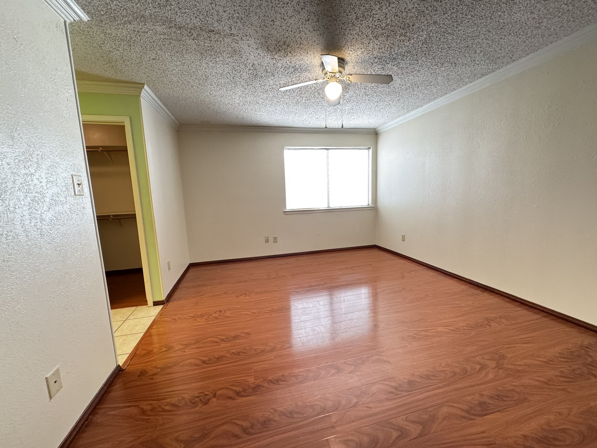2904 Southern Cross Drive Garland TX 75044
