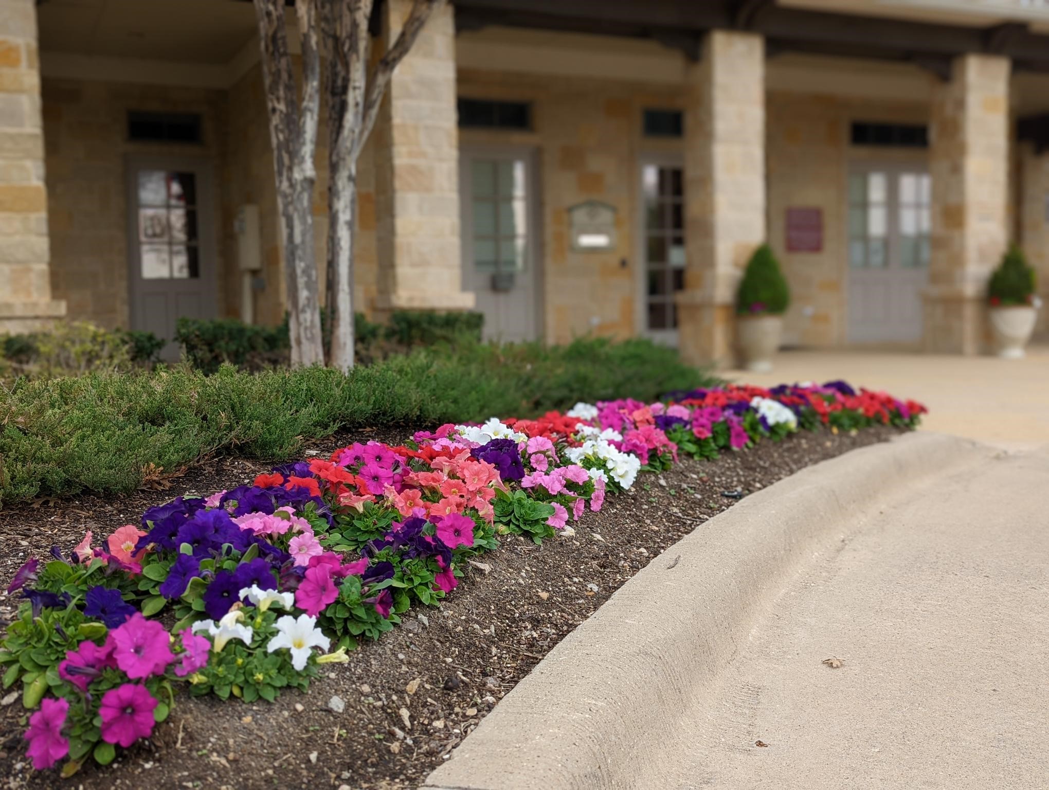 1708 Benny Lane Little Elm TX 75068