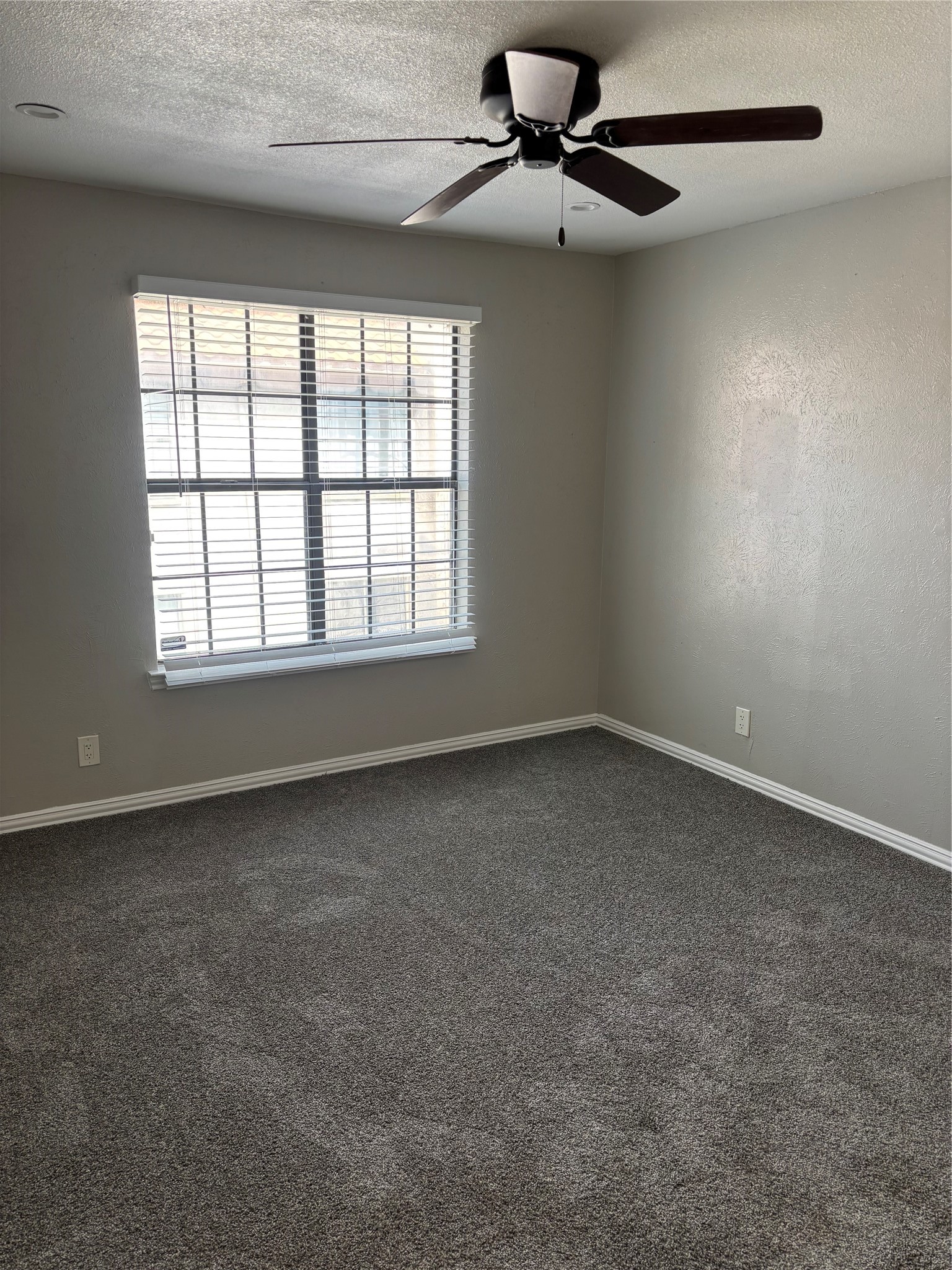 6028 Stoneybrook Drive Fort Worth TX 76112