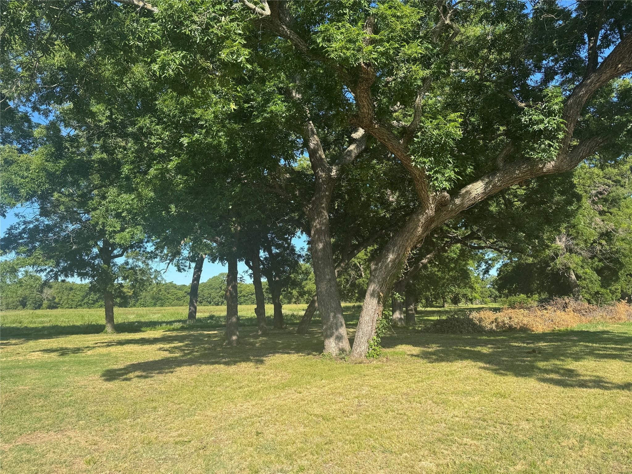 377 Private Road 3249 Decatur TX 76234