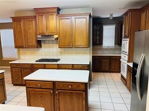 4520 White Rock Lane Plano TX 75024