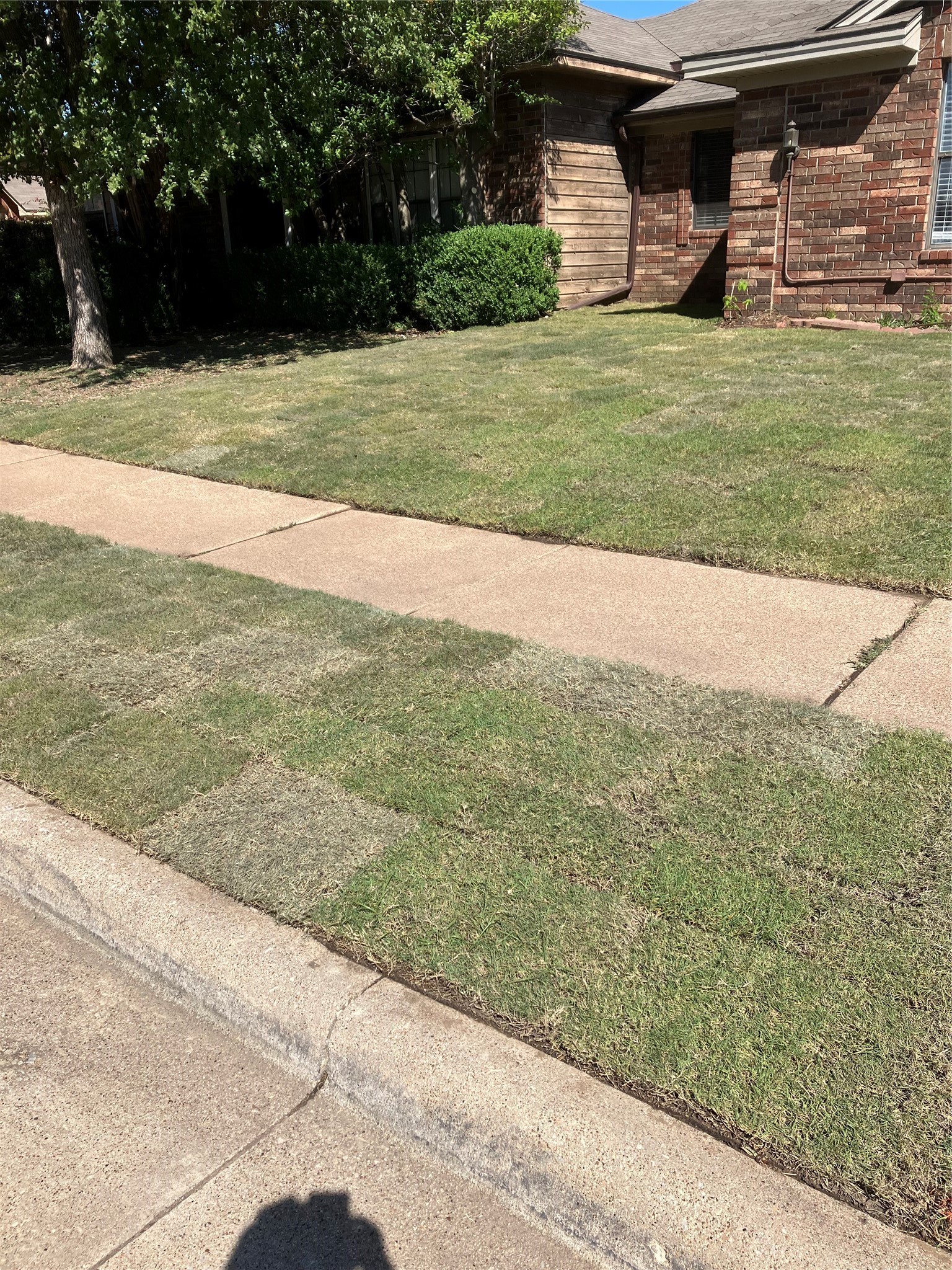 258 Willingham Drive Coppell TX 75019