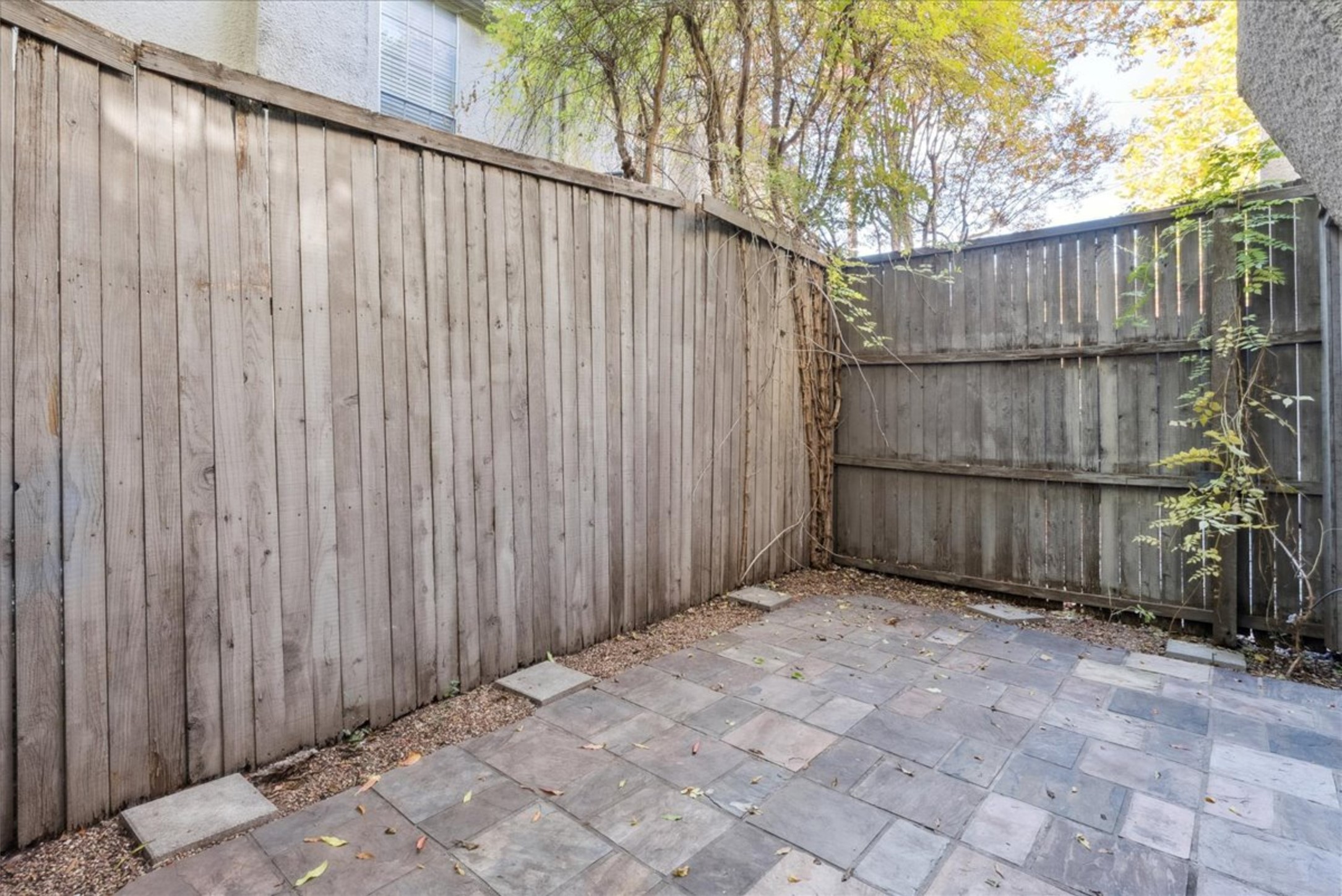 3627 Dickason Avenue Dallas TX 75219