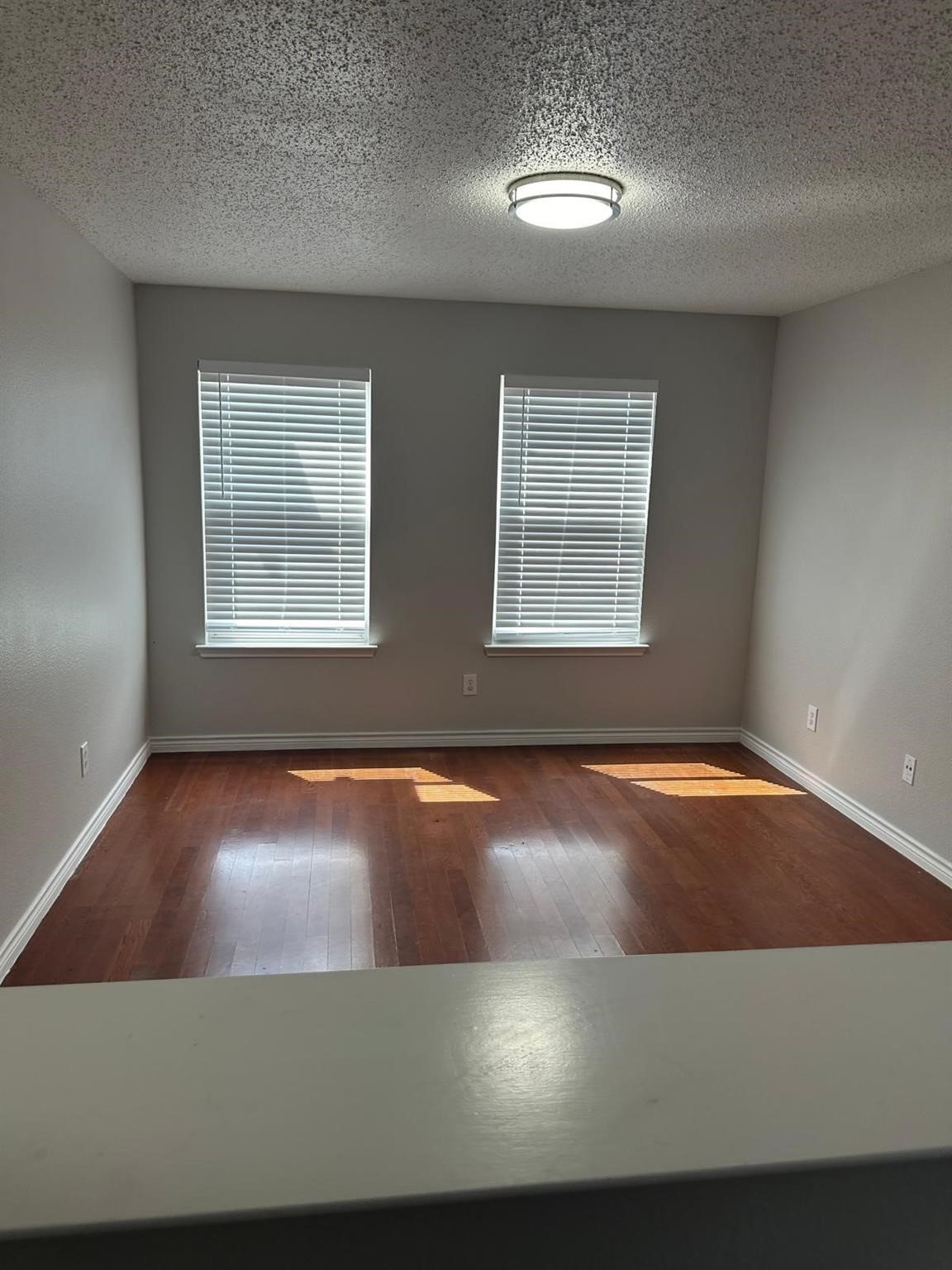 1649 Crown Point Drive Little Elm TX 75036