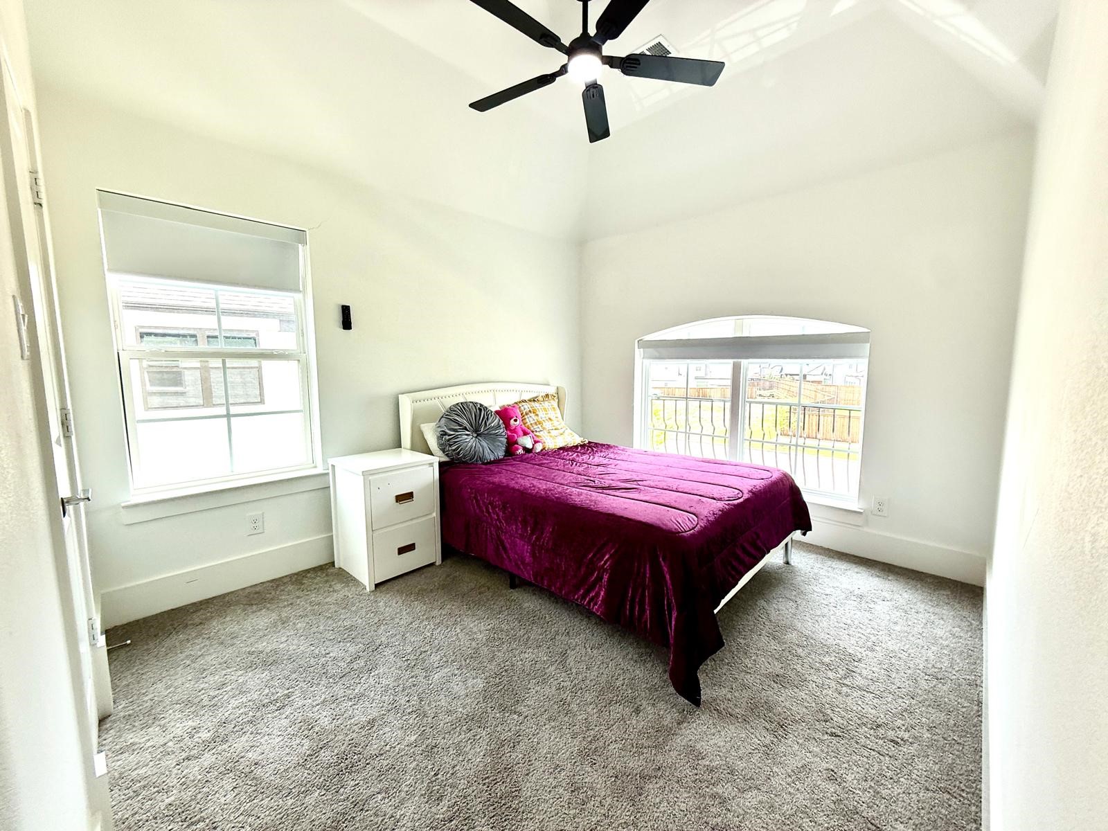 4878 Limousine Lane Frisco TX 75034