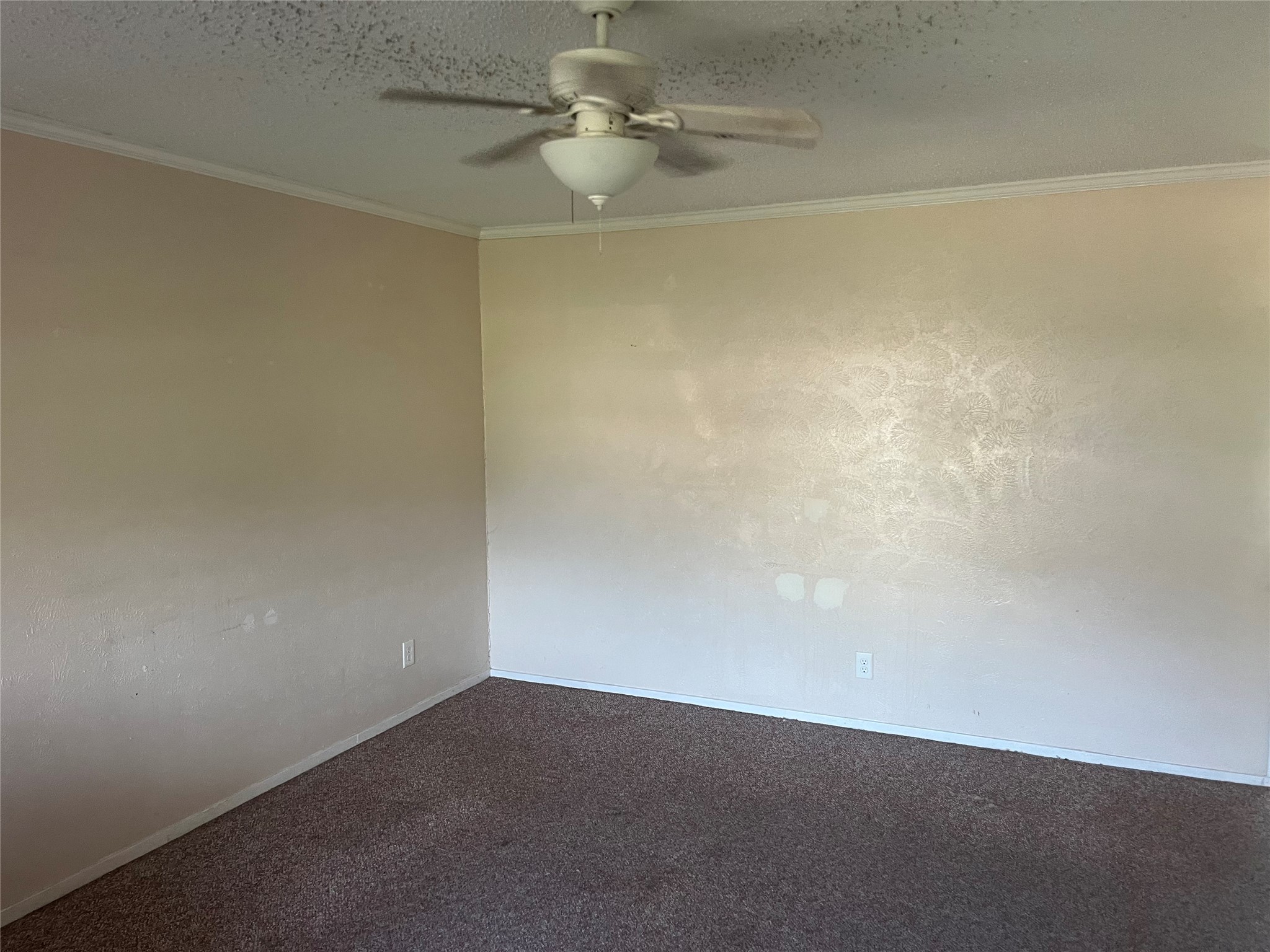 316 E White Street Pilot Point TX 76258