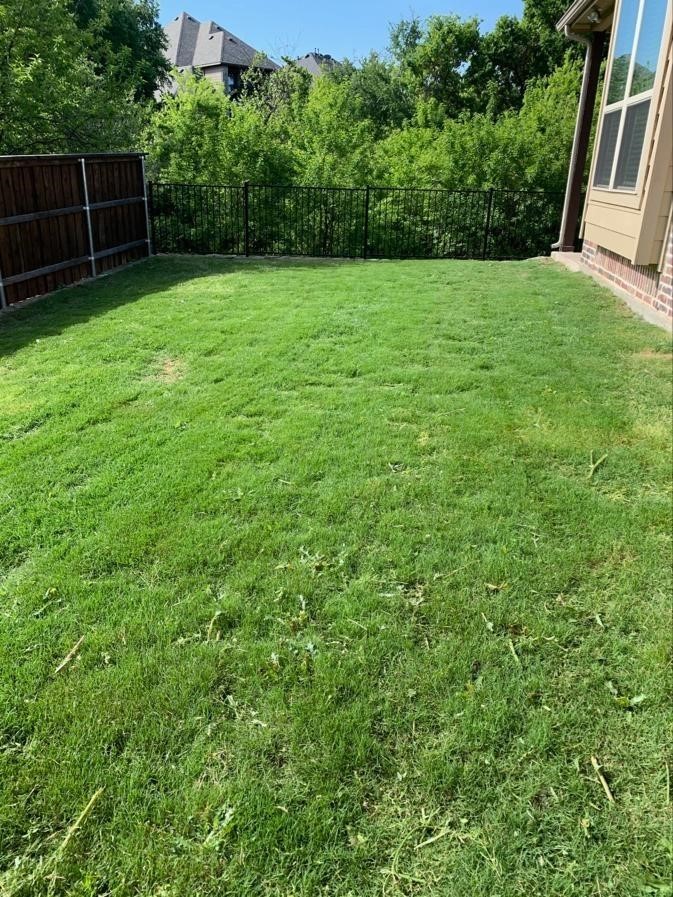 10695 Villanova Drive Frisco TX 75035